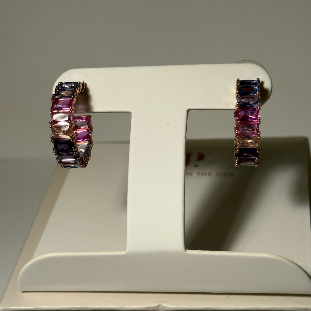 Bp hoop collection Earrings